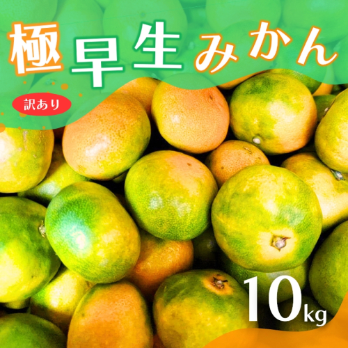 【2024年秋頃発送予約分】【訳あり】こだわりの極早生みかん 約10kg ※2024年10月上旬より順次発送予定（お届け日指定不可） 有機質肥料100% サイズ混合  有田産【nuk167】 1440086 - 和歌山県新宮市