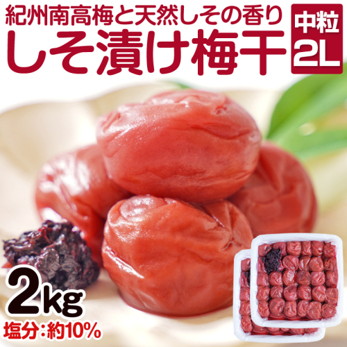 しそ漬け梅干し(紀州南高梅)2kg 中粒 2L 和歌山県産 1442323 - 和歌山県御坊市