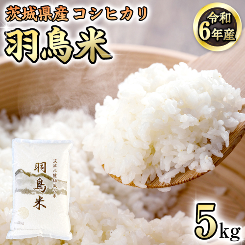 《 令和7年産 先行予約 》 コシヒカリ 「幻の米 羽鳥米」 5kg (5kg × 1袋) 筑波北麓秘蔵米 お米 ごはん 精米 コメ 白米 国産 茨城県 桜川市 限定 期間限定 数量限定 銘柄米 [AX011sa] 1445916 - 茨城県桜川市