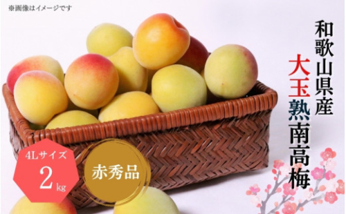 【梅干・梅酒用】大玉4Lサイズ2Kg熟南高梅 赤秀品<2025年6月上旬~7月上旬ごろに順次発送予定>【art023】 1448308 - 和歌山県北山村
