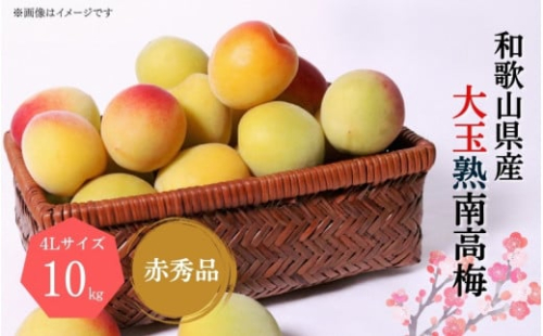 【梅干・梅酒用】大玉4Lサイズ10Kg熟南高梅 赤秀品<2025年6月上旬~7月上旬ごろに順次発送予定>【art022】 1448513 - 和歌山県新宮市