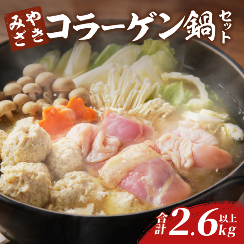 コラーゲン鍋セット(合計2.6kg以上) 肉 鶏 鶏肉 鍋 国産 _T017-0051 1448674 - 宮崎県都農町