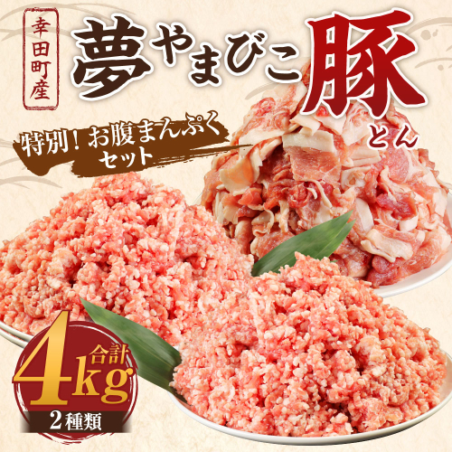 夢やまびこ豚 特別！お腹まんぷくセット 小間切れ 挽肉 計4kg（各500g×4袋） 豚肉 お肉 豚 こま切れ ミンチ 1449001 - 愛知県幸田町
