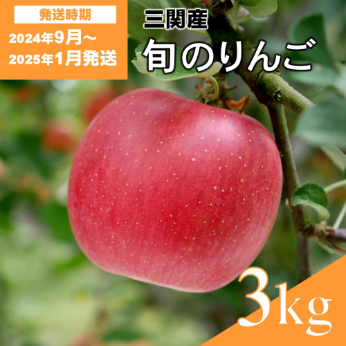 三関旬のりんご 秀品 3kg （8玉～12玉） 満杯詰め 三関産 旬 りんご 品種お任せ 果物 フルーツ 秋田県 三関 【三関果樹研究会】[L15101] 1449367 - 秋田県湯沢市