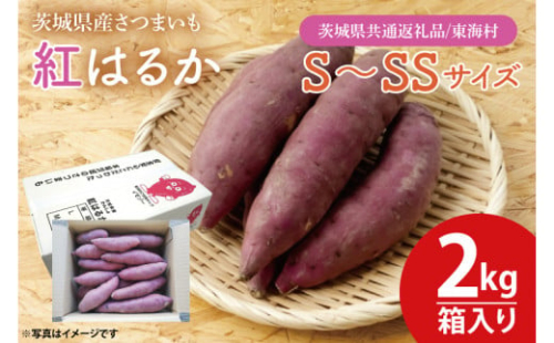 【10月中旬より順次発送】【数量限定】紅はるかSSサイズ2kg箱【茨城県共通返礼品/東海村】【新さつまいも 新芋 さつまいも 芋 焼き芋 焼芋 やきいも 水戸市 茨城県 】（KE-12）
