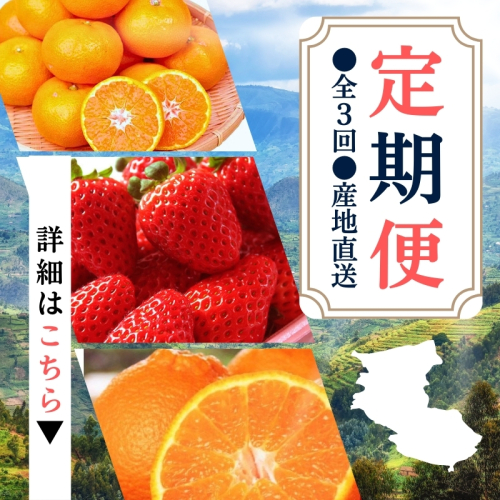 【定期便】●全3回● 産地直送 定期便【温州みかん・まりひめ・紀州デコ】 / フルーツ 果物 みかん いちご  旬 定期便  【tkb352】 1450390 - 和歌山県北山村