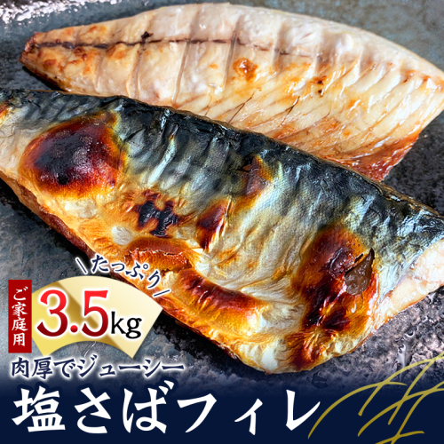 【全3回】大容量！ ご家庭用 塩さばフィレをたっぷりお届け定期便 / さば サバ 鯖 フィレ 切り身 切身 魚 海鮮 焼き魚 おかず 定期便【tkb354】 1450475 - 和歌山県新宮市