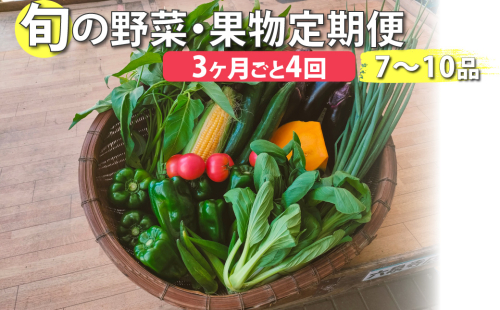 <年4回定期便> はちきんの店 野菜 セット 7~10品 1450547 - 高知県佐川町