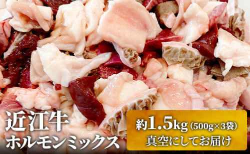 近江牛ホルモンミックス 約1.5kg ふるさと納税 牛肉 お肉 もつ鍋 牛肉炒め物 ブランド牛 145125 - 滋賀県豊郷町