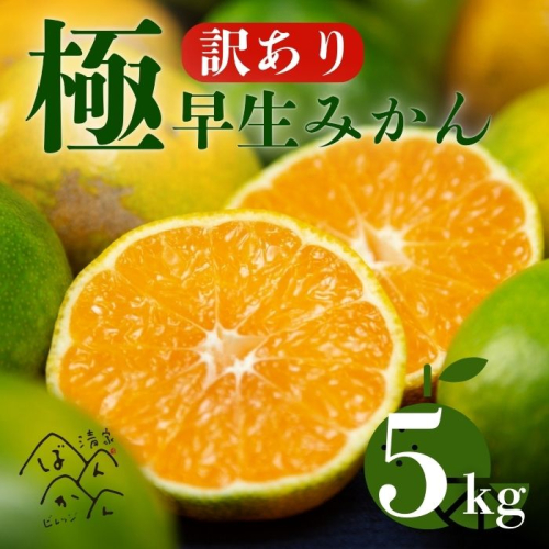 【訳あり】愛媛みかん （ 極早生 ） 5kg【発送時期：９月下旬～】2S-Lサイズ サイズミックス 愛媛みかん 温州みかん 一番みかん 柑橘 みかん 愛媛県 愛南町 清家ばんかんビレッジ 1452837 - 愛媛県愛南町