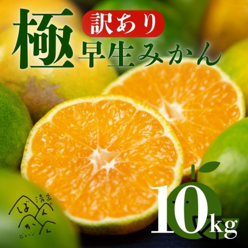 【訳あり】愛媛みかん ( 極早生 ) 10kg【発送時期:9月下旬~】2S-Lサイズ サイズミックス 愛媛みかん 温州みかん 一番みかん 柑橘 みかん 愛媛県 愛南町 清家ばんかんビレッジ 1453132 - 愛媛県愛南町