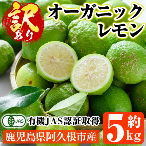 数量限定！有機JAS 訳ありオーガニックレモン(約5kg) 国産 訳あり レモン 檸檬 果実 果物 フルーツ 柑橘 デザート 期間限定 有機栽培 健康志向 【中村農場】akn084-02 1453221 - 鹿児島県阿久根市