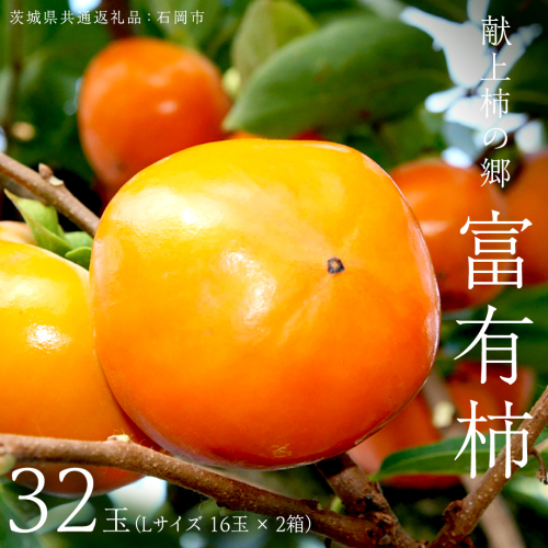 献上柿の郷 富有柿 32玉 ( Lサイズ 16玉 × 2箱 ) ( 茨城県共通返礼品 石岡市 ) 2025年11月中旬発送開始 数量限定 果物 くだもの フルーツ 柿 [EZ002sa] 1453984 - 茨城県桜川市
