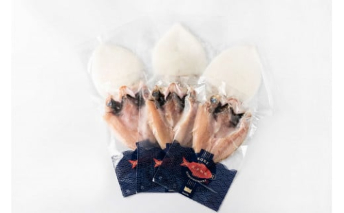 島根県浜田加工ノドグロと真イカの一夜干し合計6枚（約500ｇ） 【005_1988】 1455069 - 島根県浜田市