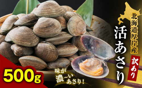 北海道 厚岸産 訳あり 活あさり 500g アサリ 1455425 - 北海道厚岸町