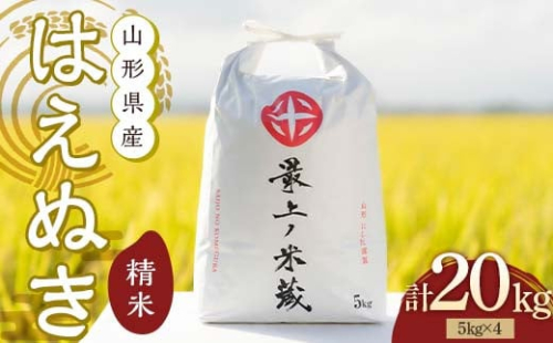 令和7年産 先行予約 はえぬき 5kg×4 計20kg 精米 【最上ノ米蔵】 山形県産 こめ お米 米 白米 F3S-2485