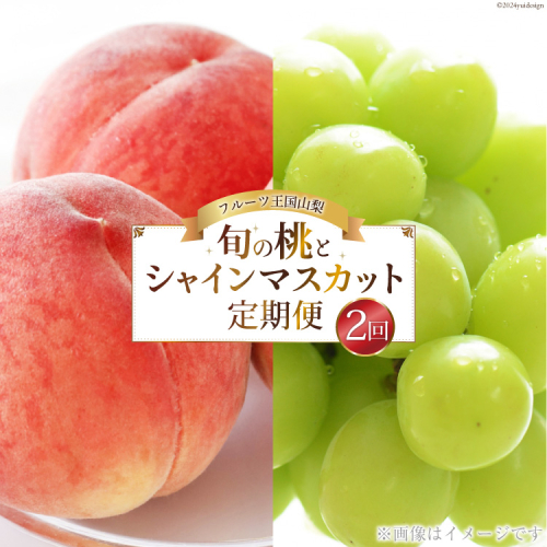 【期間限定発送】【旬の桃とシャインマスカットの2回定期便】令和7年 桃約2kg（5～6玉）、シャインマスカット約1.8kg（2～3房） [株式会社えべし 山梨県 中央市 21470869] ぶどう 桃 フルーツ 果物 くだもの ブドウ シャイン マスカット もも 葡萄 期間限定 季節限定 1456359 - 山梨県中央市