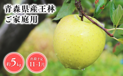 2025年産１１月～１月発送　【訳あり】家庭用王林5ｋｇ　【そと川りんご園・１１月・１２月・１月・青森県産・平川市・りんご・王林・5ｋｇ・訳あり・家庭用】 1457055 - 青森県平川市