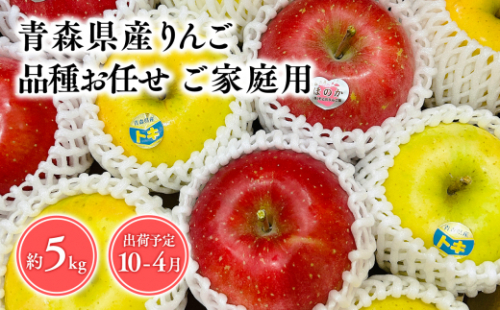 2025年産品種お任せ　【訳あり】家庭用　旬のりんご詰め合わせ5kg 1457085 - 青森県平川市