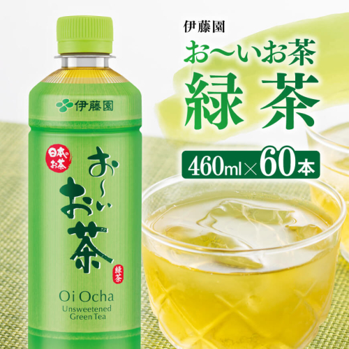 お～いお茶 緑茶 460ml×60本 PET 【 飲料 飲み物 ソフトドリンク お茶 ペットボトル スリム スマートボトル 備蓄 送料無料 】 1457736 - 宮崎県川南町