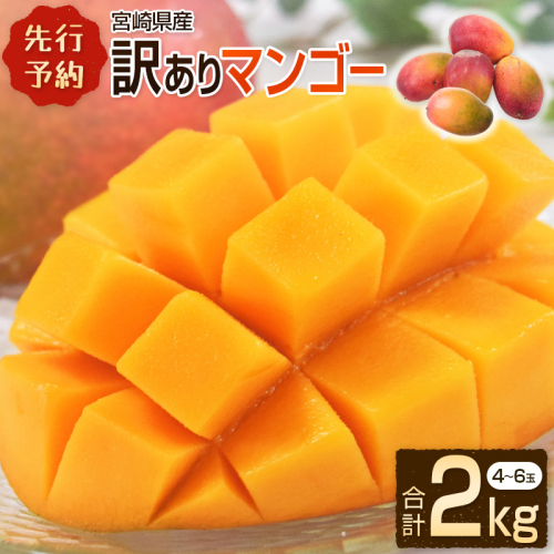 ［訳あり］宮崎県産マンゴー《家庭用》2kg以上（4～6玉）新富町産 完熟 フルーツ 果物【C217-26】 145799 - 宮崎県新富町