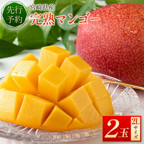 <先行予約>宮崎県産 完熟マンゴー 2L×2玉 数量限定 人気 フルーツ 果物 ギフト【B510-26】 145802 - 宮崎県新富町