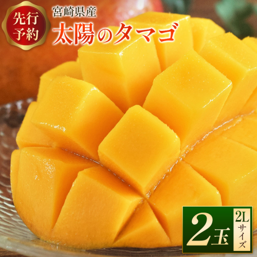 ＜数量限定＞完熟マンゴー「太陽のタマゴ」2Lサイズ 2玉 宮崎県産 先行予約 ブランド フルーツ 果物 ギフト【C218-26】 145803 - 宮崎県新富町