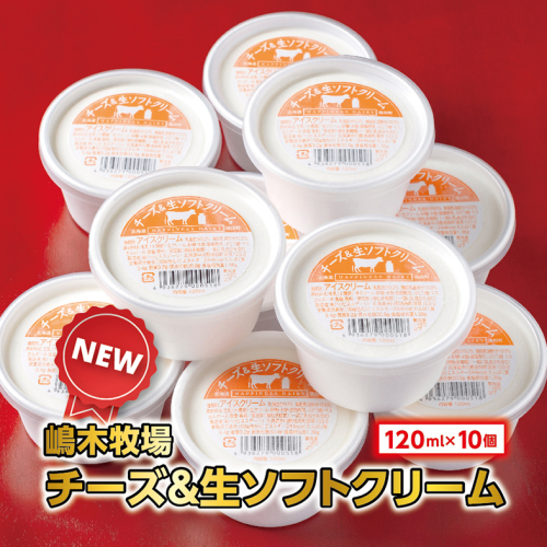 北海道 牧場のチーズ＆生ソフトクリーム 10個 アイスクリーム アイス スイーツ 池田町 ジェラート ギフト ソフトクリーム 120ml×10個 国産 1459648 - 北海道池田町
