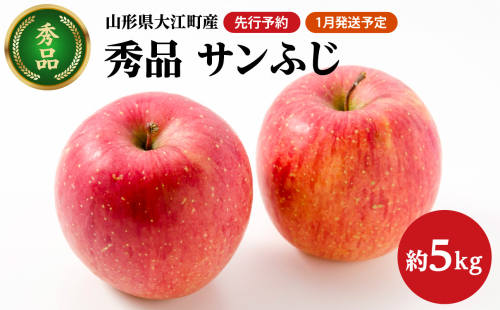 《先行受付》【2026年1月発送予定】 サンふじ約5kg・秀品【大江町産・山形りんご・大地農産】【028-026】 1460359 - 山形県大江町