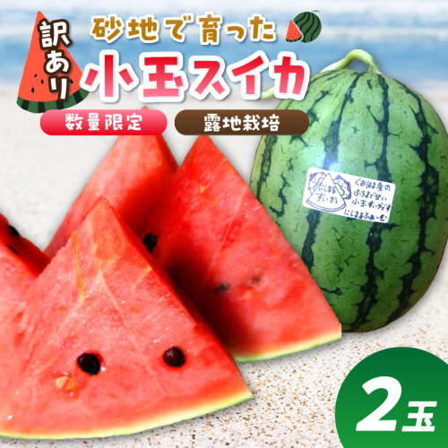 【先行予約／数量限定200】にしまるスイカ 訳あり 2玉入り（露地栽培）（2026年7月中旬から発送）
 1460371 - 京都府京丹後市