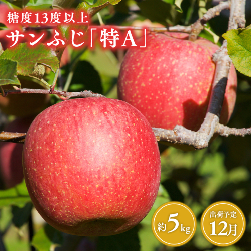 12月  サンふじりんご「特A」約5kg 糖度13度以上(14～20玉程度） 【森山商店・平川市・青森りんご・12月】 1460632 - 青森県平川市