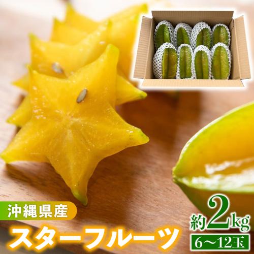 沖縄県産 スターフルーツ約2kg(6～12玉) - 果物 フルーツ 南国 スターフルーツ 五歛子 厳選 沖縄県 八重瀬町 1463095 - 沖縄県八重瀬町