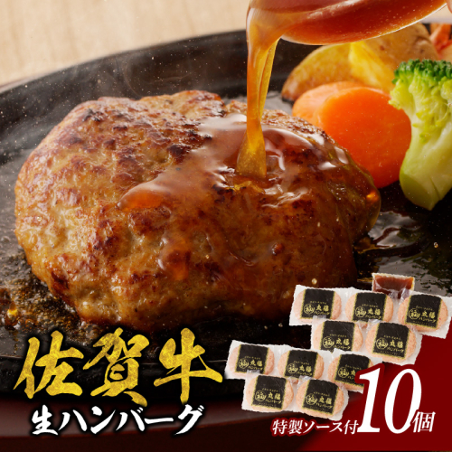 丸福 ハンバーグ(10個入り)(5月配送) 1463147 - 佐賀県玄海町
