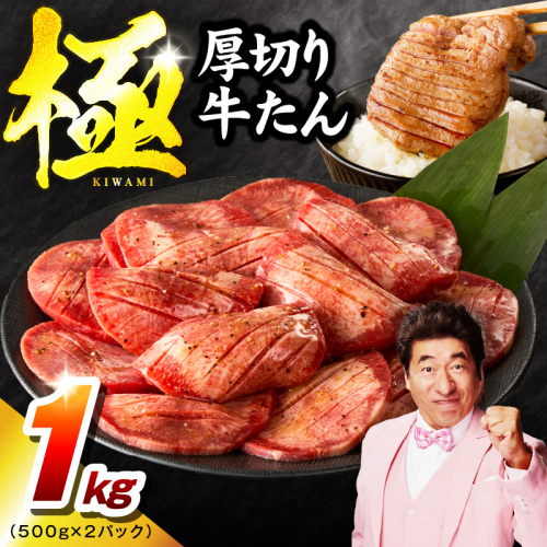 厚切り牛たん 1kg【氷温熟成×旨塩ダレ 500g×2P 焼肉用 牛タン 牛肉 訳あり サイズ不揃い】 mrz0124 1466166 - 大阪府泉佐野市