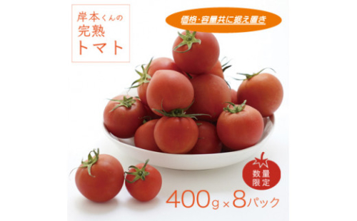 岸本くんの完熟トマト 約3.2kg ( 400g×８パック )  野菜 産地 直送 人気 国産 愛媛県 愛南町 発送期間：2月1日～6月20日	 1466404 - 愛媛県愛南町