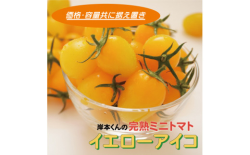 岸本くんの完熟ミニトマト イエローアイコ 180gパック×8 発送期間：12月1日～5月10日	 1466410 - 愛媛県愛南町