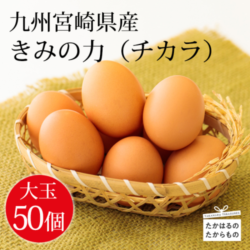 宮崎県産の赤たまご『きみの力(チカラ)』大容量75個Lサイズの赤卵 ミネラルたっぷりのカキガラや上質な飼料ですくすく育った鶏の卵は甘くておいしい逸品 [新鮮 たまご L玉 玉子 大玉 8000円 8千円 ワンストップオンライン 10000円以下] TF0793-P00035 1467363 - 宮崎県高原町