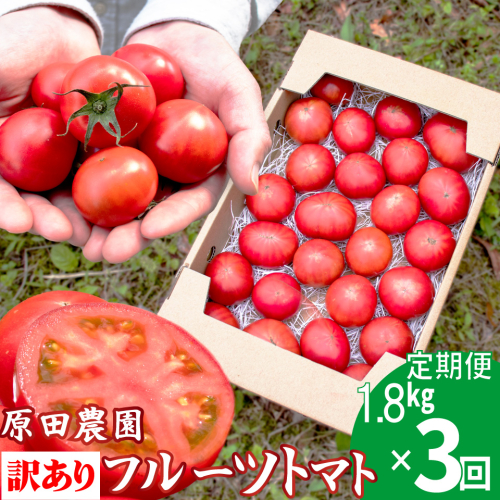 【3回定期便】 訳あり フルーツトマト 原田農園 1.8kg （12月下旬～5月頃発送）＜2024年12月下旬頃より発送＞ 1467495 - 高知県佐川町
