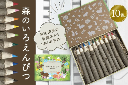 森のいろえんぴつ(色鉛筆 えんぴつ 色えんぴつ 鉛筆 文具 文房具 木材 お絵描き キッズ おもちゃ 知育 玩具 手作り自然 贈り物 プレゼント ギフト) 1468081 - 京都府宇治田原町