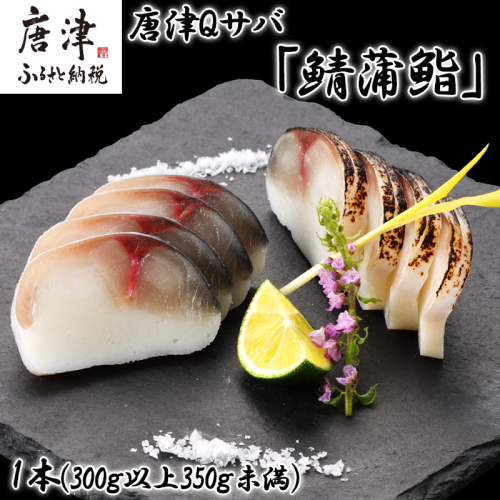 生の新食感 唐津Qサバ「鯖蒲鮨」1本(300g以上～350g未満) さば 蒲鉾 かまぼこ おつまみ ギフト 鯖 サバ 唐津 Qサバ 鯖鮨 呼福 大志 水産 魚 海鮮 水産加工 1469211 - 佐賀県唐津市