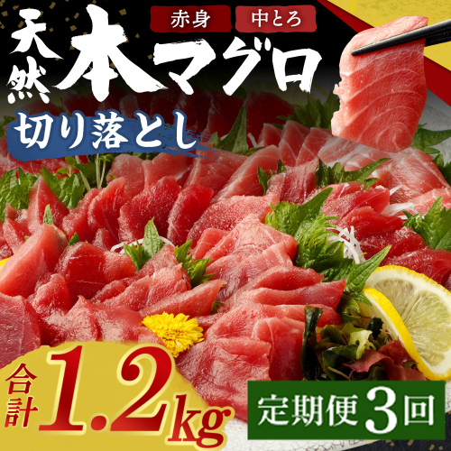 【定期便 / ３ヶ月連続】 天然本マグロ (赤身・中とろ) 切り落とし 合計1.2kg  (100g×4パック×３回) マグロ 刺身 刺し身 魚 惣菜 海鮮丼 魚介類 食べきりサイズ 小分け 冷凍 訳あり 不揃い 傷 規格外 定期 連続 1470488 - 高知県室戸市