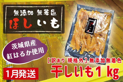  先行予約 訳あり 無添加 無着色 干しいも 1kg（パック詰め) 1月発送 冷蔵 規格外 不揃い 平干し 紅はるか 干し芋 ほしいも 国産 茨城 茨城県産 紅はるか 送料無料 わけあり 1470498 - 茨城県大洗町