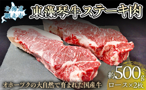 【数量限定】東藻琴牛ステーキ肉 ABM1002 1475293 - 北海道網走市