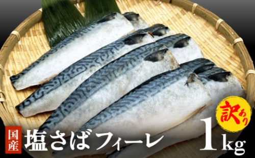 ＜訳あり＞ 国産 塩さばフィレ 1kg ( 10枚前後 )  冷凍 国産さば 切身 フィレ わけあり 不揃い サバフィレ 塩サバ サバ 魚 鯖 急速冷凍 新鮮 魚 青魚 塩さば 鯖フィレ さばフィレ サバフィーレ 塩鯖 saba 国産 切り身 焼き魚 焼魚 宮城県 石巻市 ふるさと納税 送料無料 石巻応援
