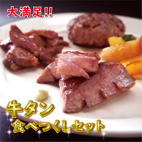 牛タン食べつくしセット大好評 クラファンで目標達成率2316％ 牛肉セット タン元 ステーキ 味付け肉 タン中 牛タンハンバーグ ハンバーグ 詰め合わせ 盛り合わせ セット 熨斗 贈答 熨斗 御中元 お中元 夏ギフト ギフト 147884 - 京都府舞鶴市