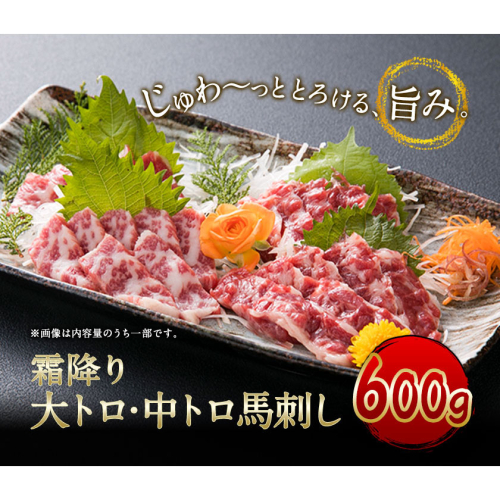 大トロ中トロ馬刺し盛り 600g 長洲町L（桜屋）《30日以内に出荷予定(土日祝除く)》馬刺し 熊本 長洲町 大トロ 中トロ 食べ比べ 馬肉 霜降り 1479631 - 熊本県長洲町