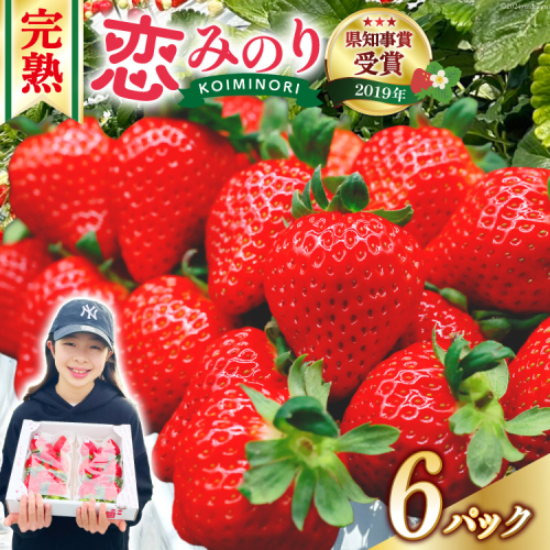 【期間限定発送】 いちご 恋みのり 1.5kg 以上 6パック [キチ・フィールド 長崎県 雲仙市 item2206] イチゴ 苺 フルーツ 果物 期間限定 季節限定 先行予約 1479791 - 長崎県雲仙市