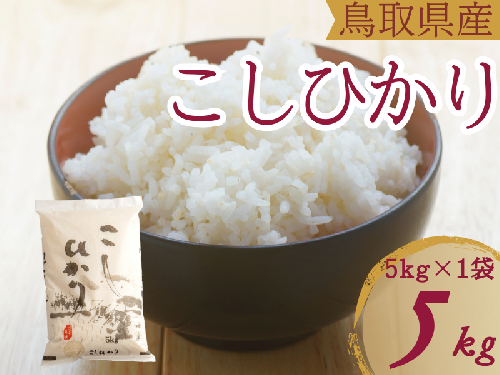 米 こしひかり5kg 鳥取県産 こめ 精米 コシヒカリ 5キロ 令和7年産 送料無料 1052 1480754 - 鳥取県江府町