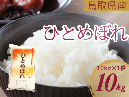 米 ひとめぼれ 10kg 鳥取県産 こめ 精米 10キロ 令和7年産 送料無料 1054 1480758 - 鳥取県江府町