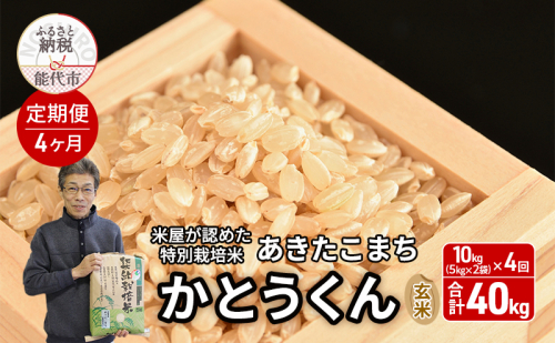 《定期便4ヶ月》 新米 玄米 特別栽培米 秋田県産 あきたこまち 米屋が認めたお米 「かとうくん」10kg（5kg×2袋）×4回 合計40kg 1485018 - 秋田県能代市